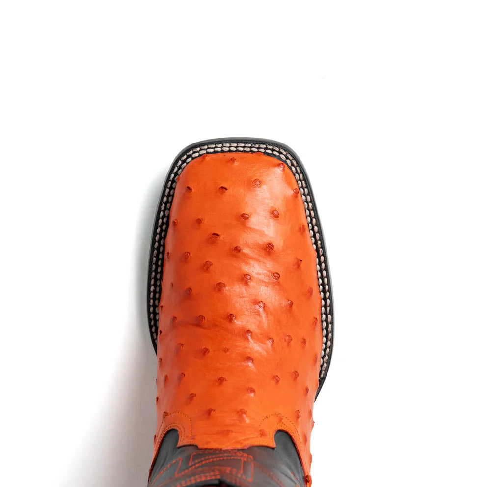 Alabama Orange - Image 5