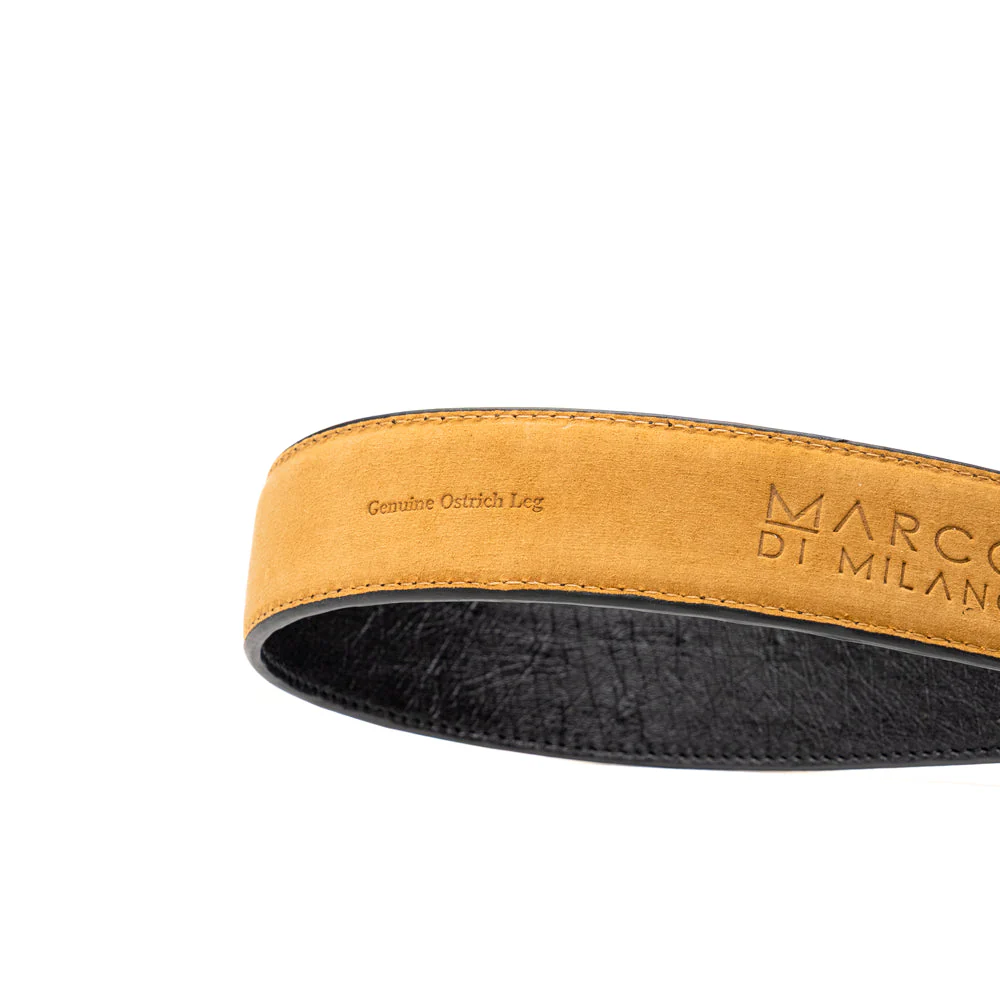 Alessio Belt Black - Image 4