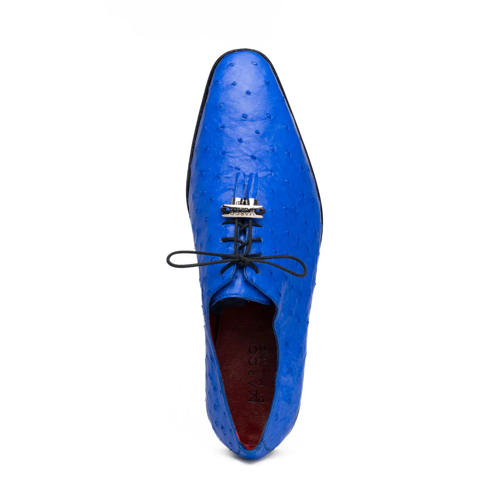 Criss Electric Blue - Image 3