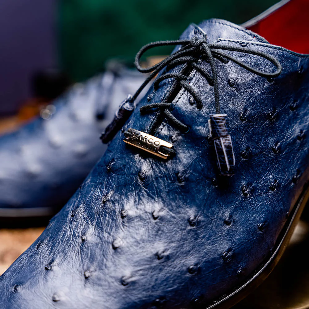 Criss Navy - Image 11
