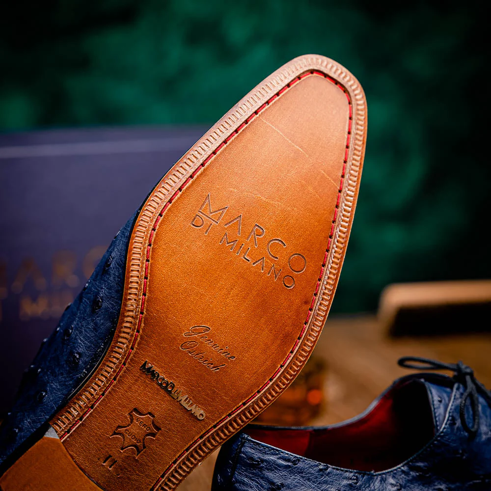 Criss Navy - Image 12