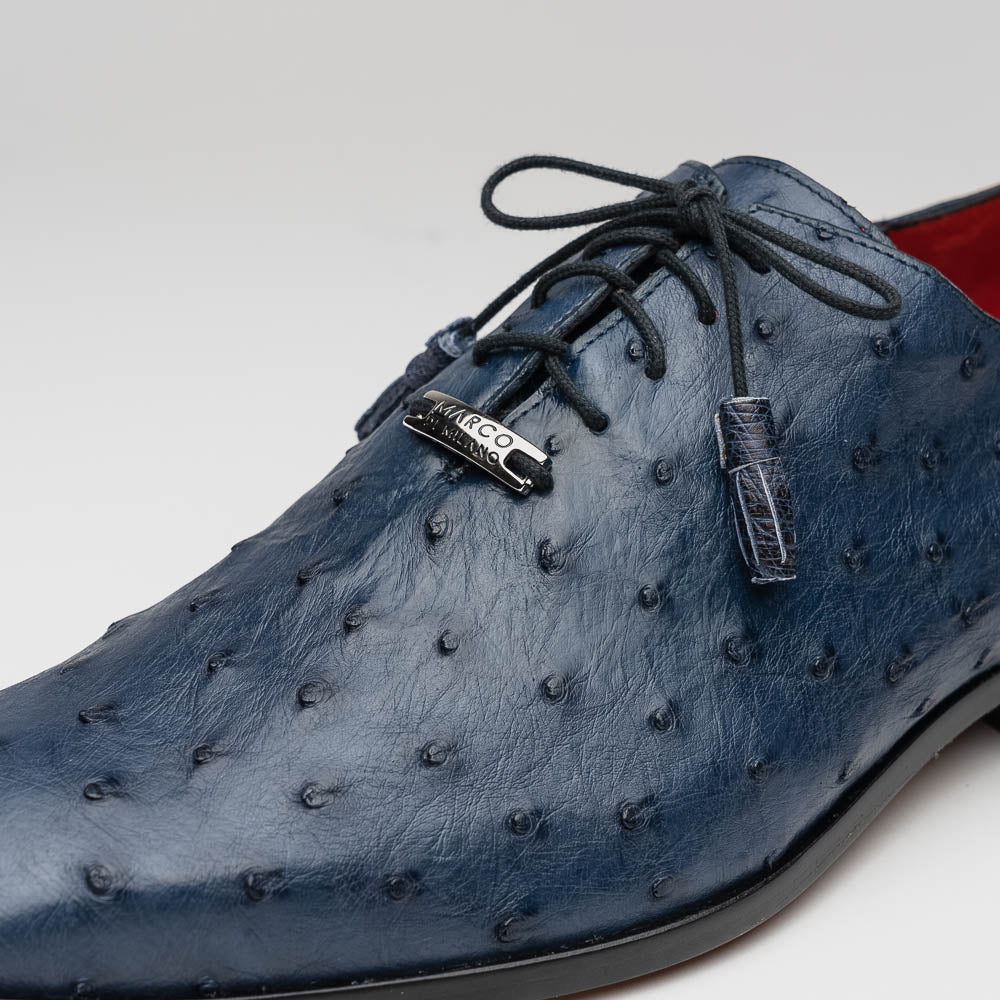 Criss Navy - Image 3