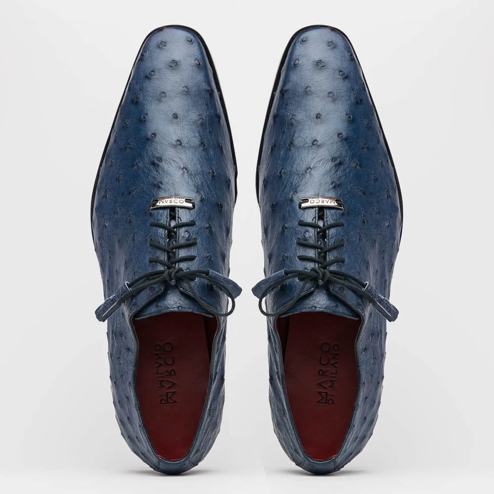 Criss Navy - Image 4