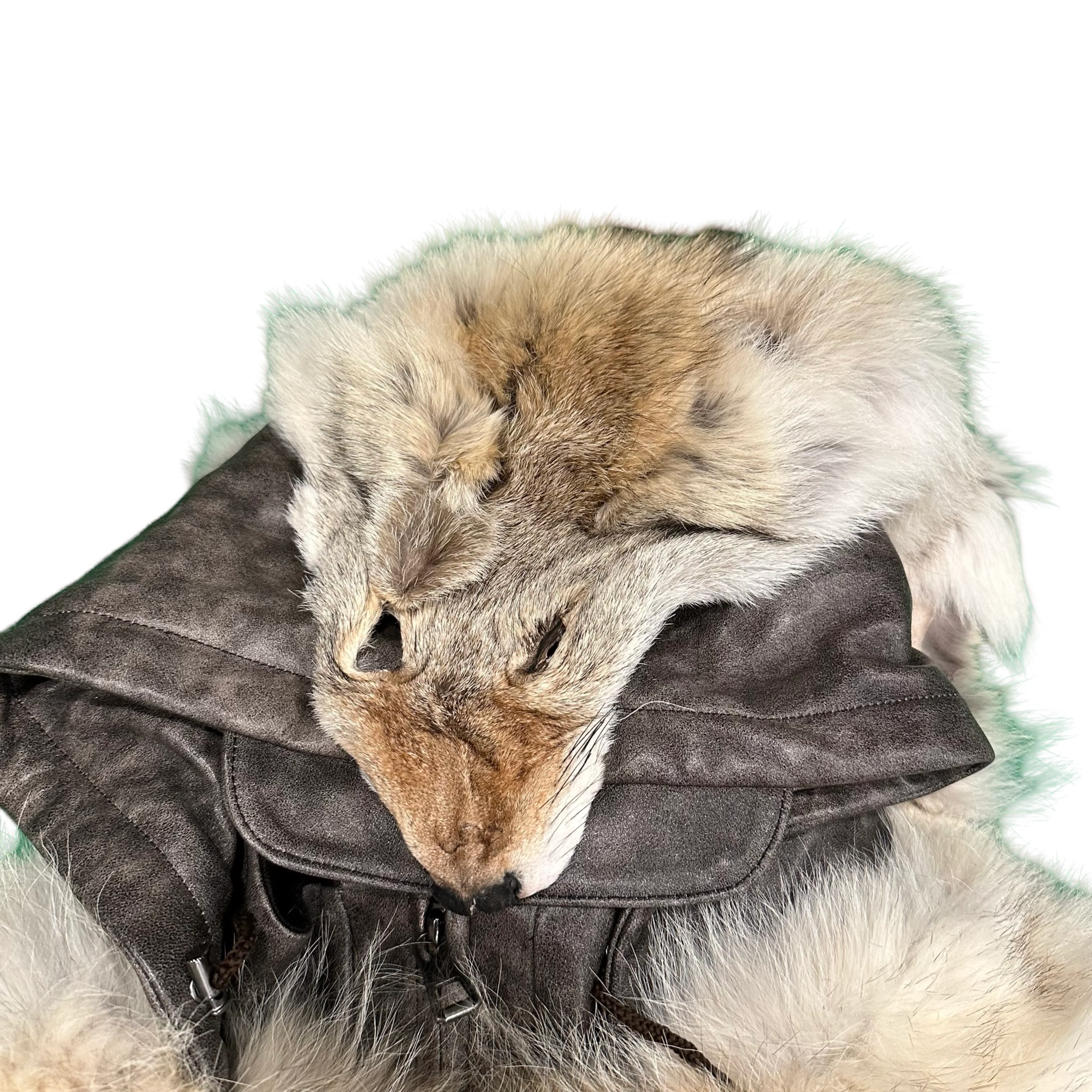 Kashani Coyote Head Fur Grey Distressed Leather Jacket w/ Detachable Sleeve - Image 2