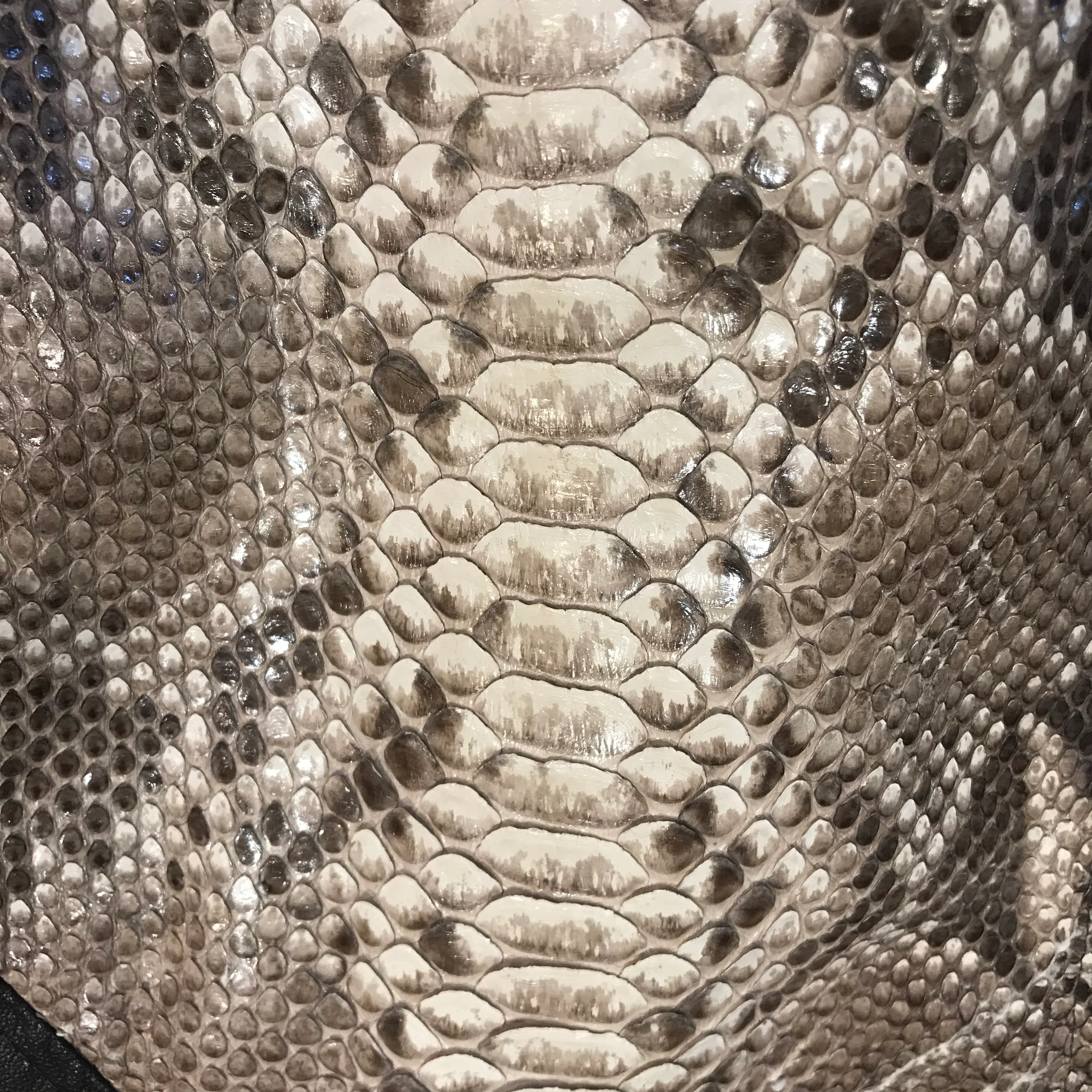 Kashani Dark Brown Natural Python Bomber Jacket - Image 4