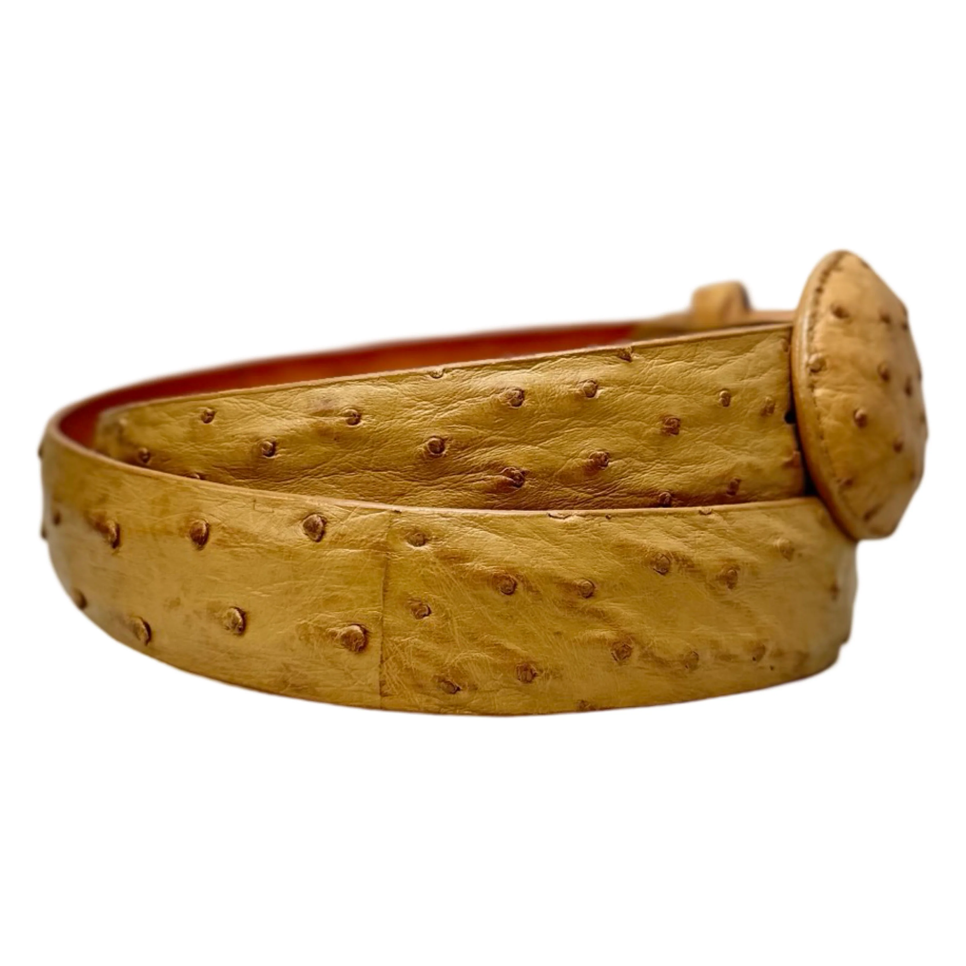 Los Altos Buttercup Ostrich Quill Belt with Oval Buckle - Image 2