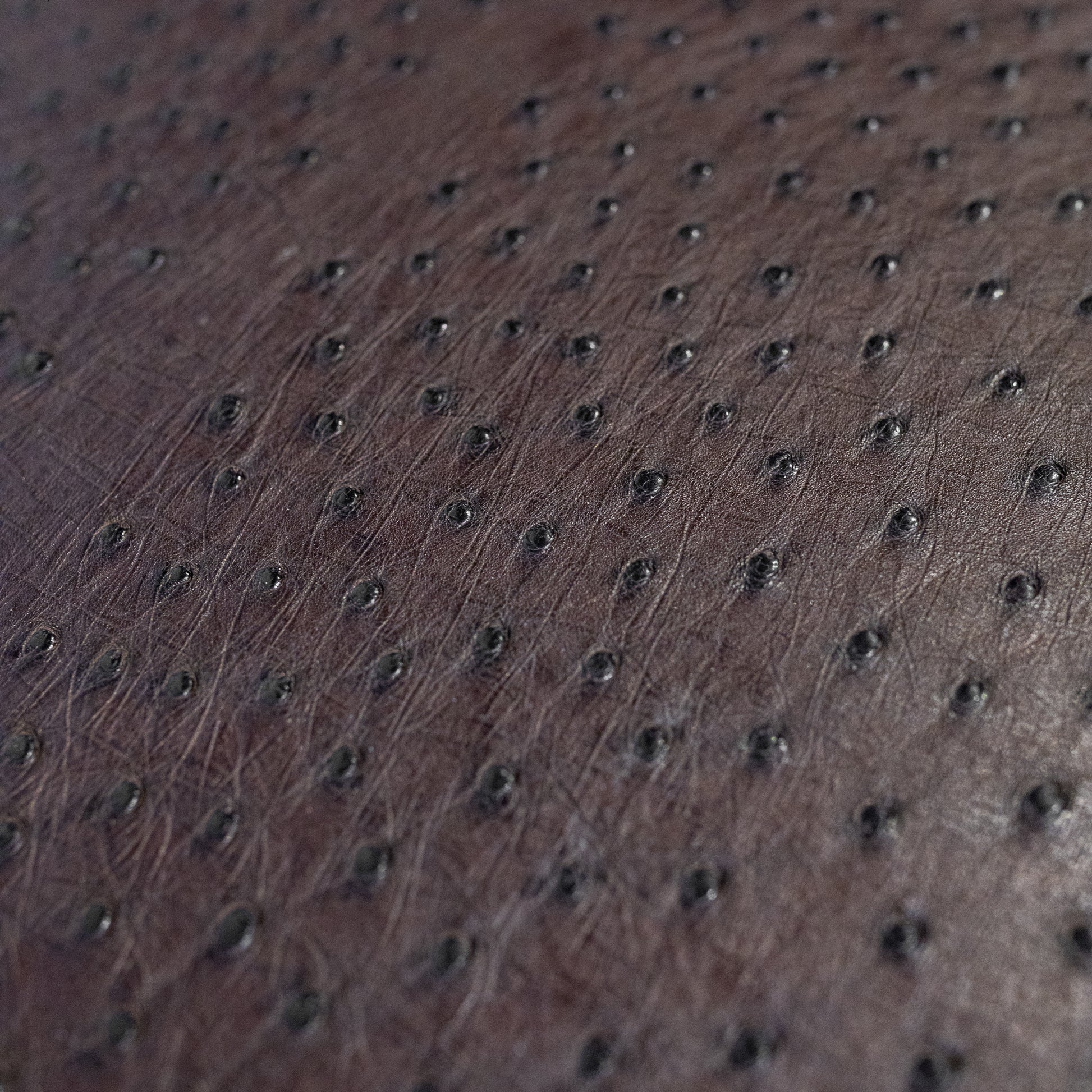 Marco Di Milano Salento Full Ostrich Quill Leather Lounge Chair - Image 8