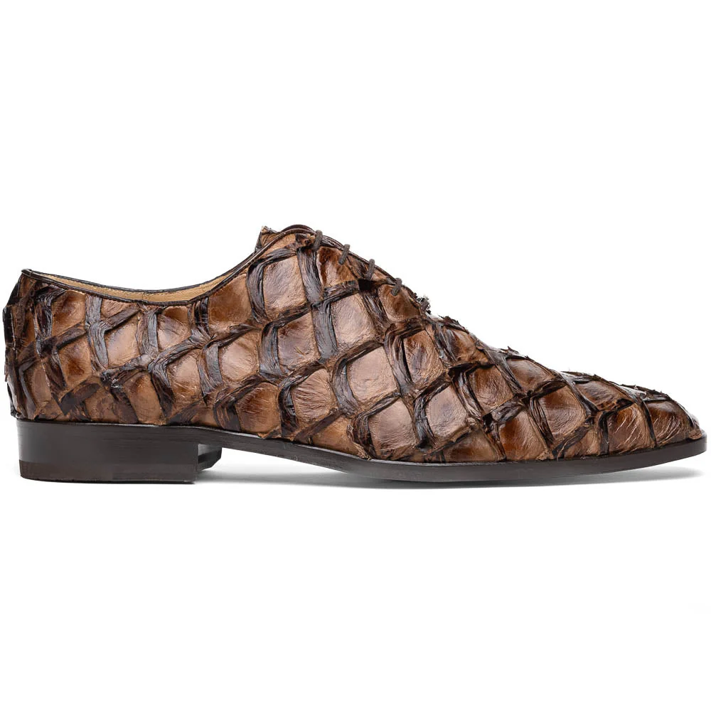 Olivieri Clear Brown - Image 2