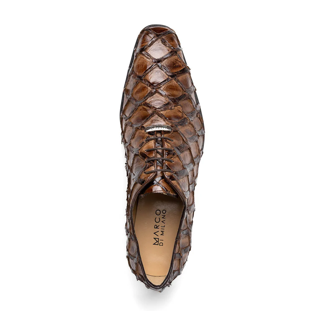 Olivieri Clear Brown - Image 4