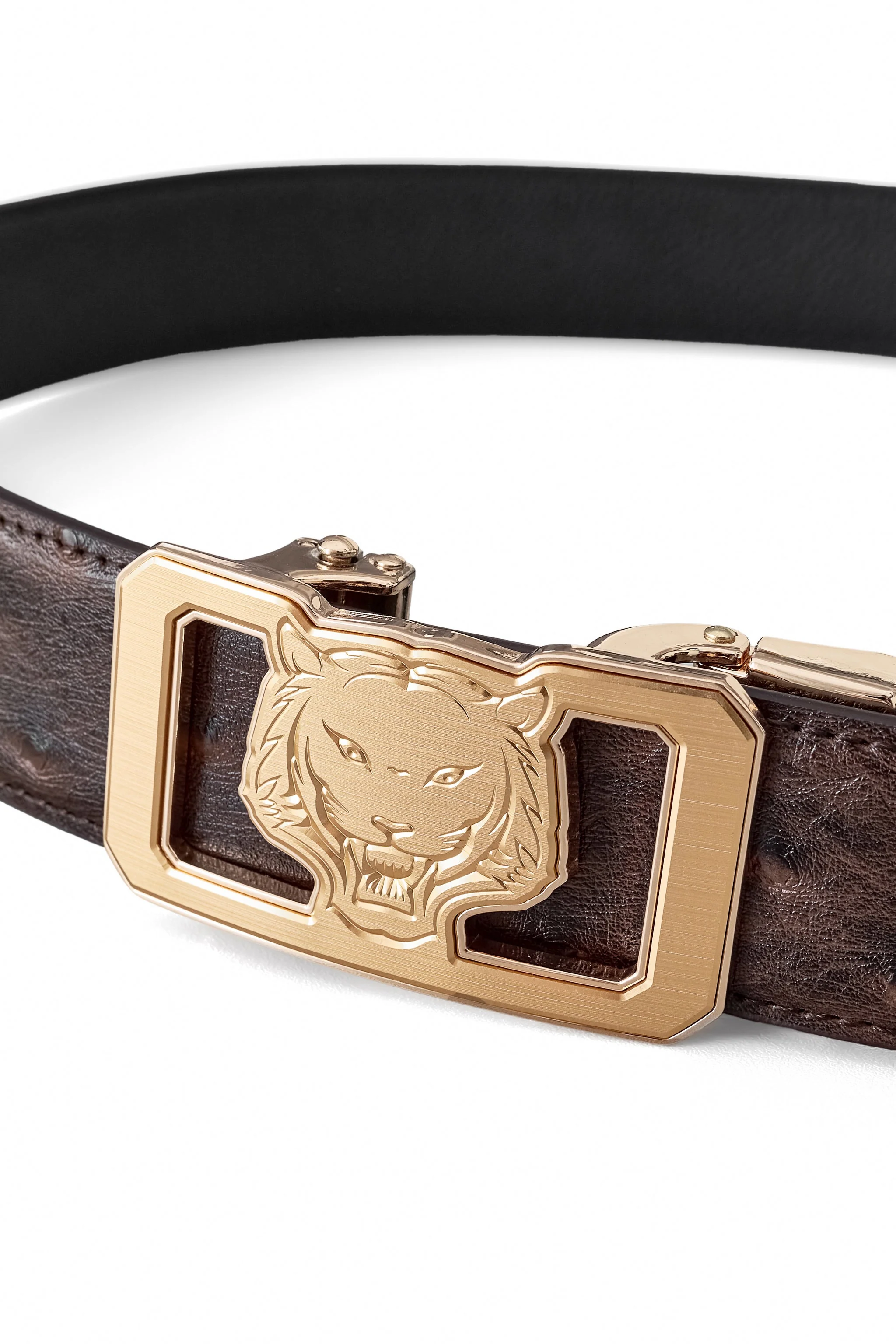 Ostrich-Emb. Leather Lion Auto BKL Belt – Gold Ed. GOLD/COFFEE - Image 3