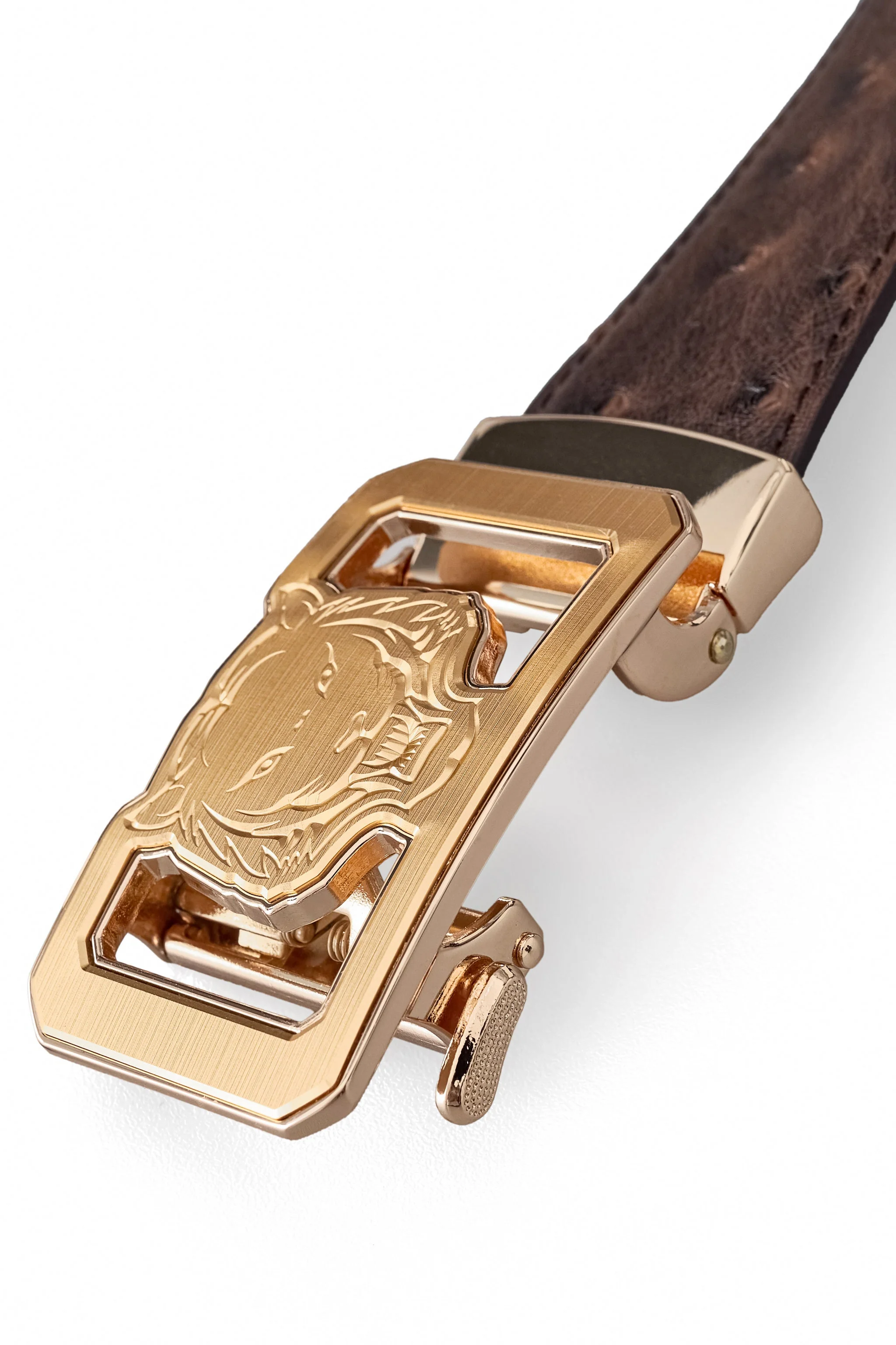 Ostrich-Emb. Leather Lion Auto BKL Belt – Gold Ed. GOLD/COFFEE - Image 4
