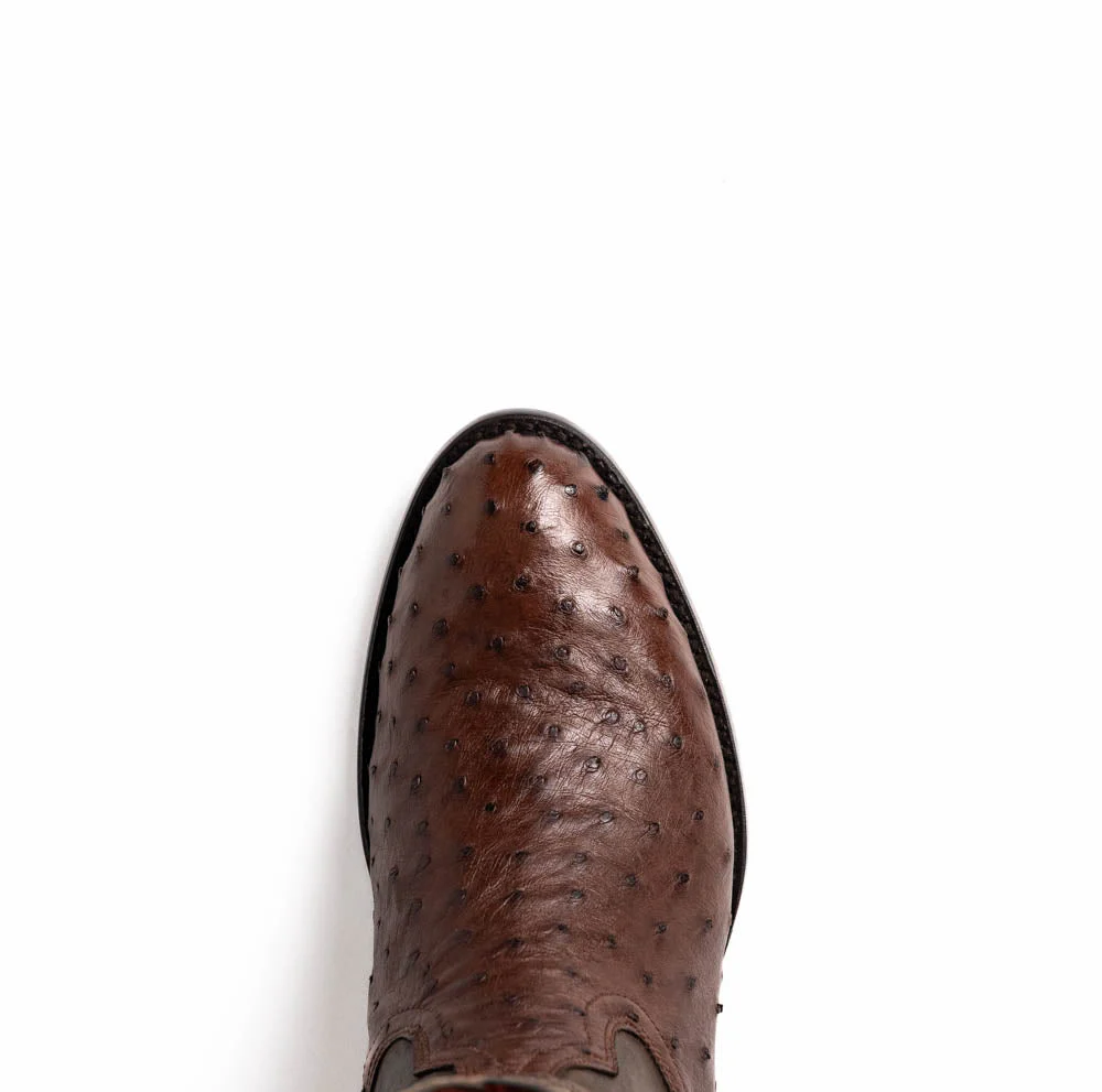 Savannah Kango Tabac - Image 5