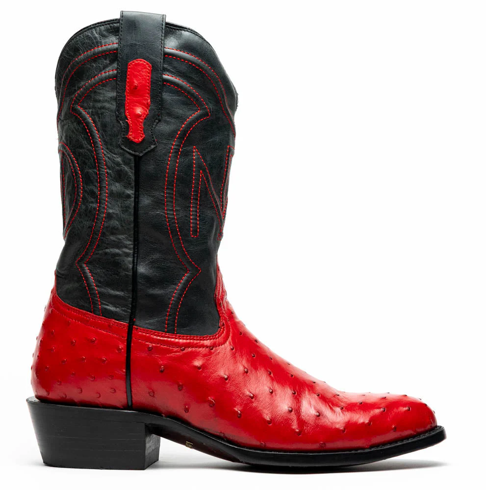 Savannah Red - Image 2